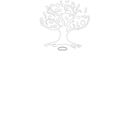 Cinnamon Tree